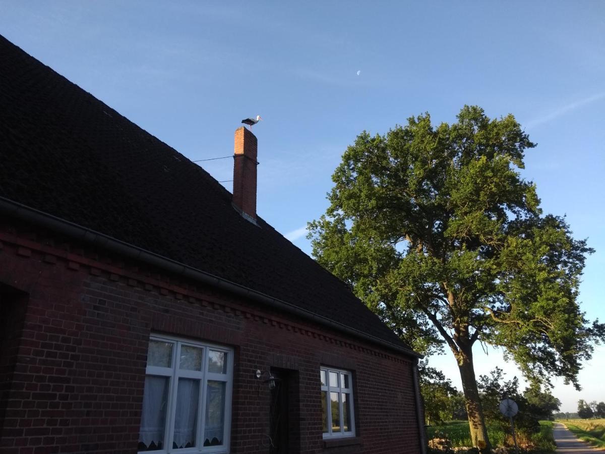 Kroetenhof Barfoerde Barforde エクステリア 写真