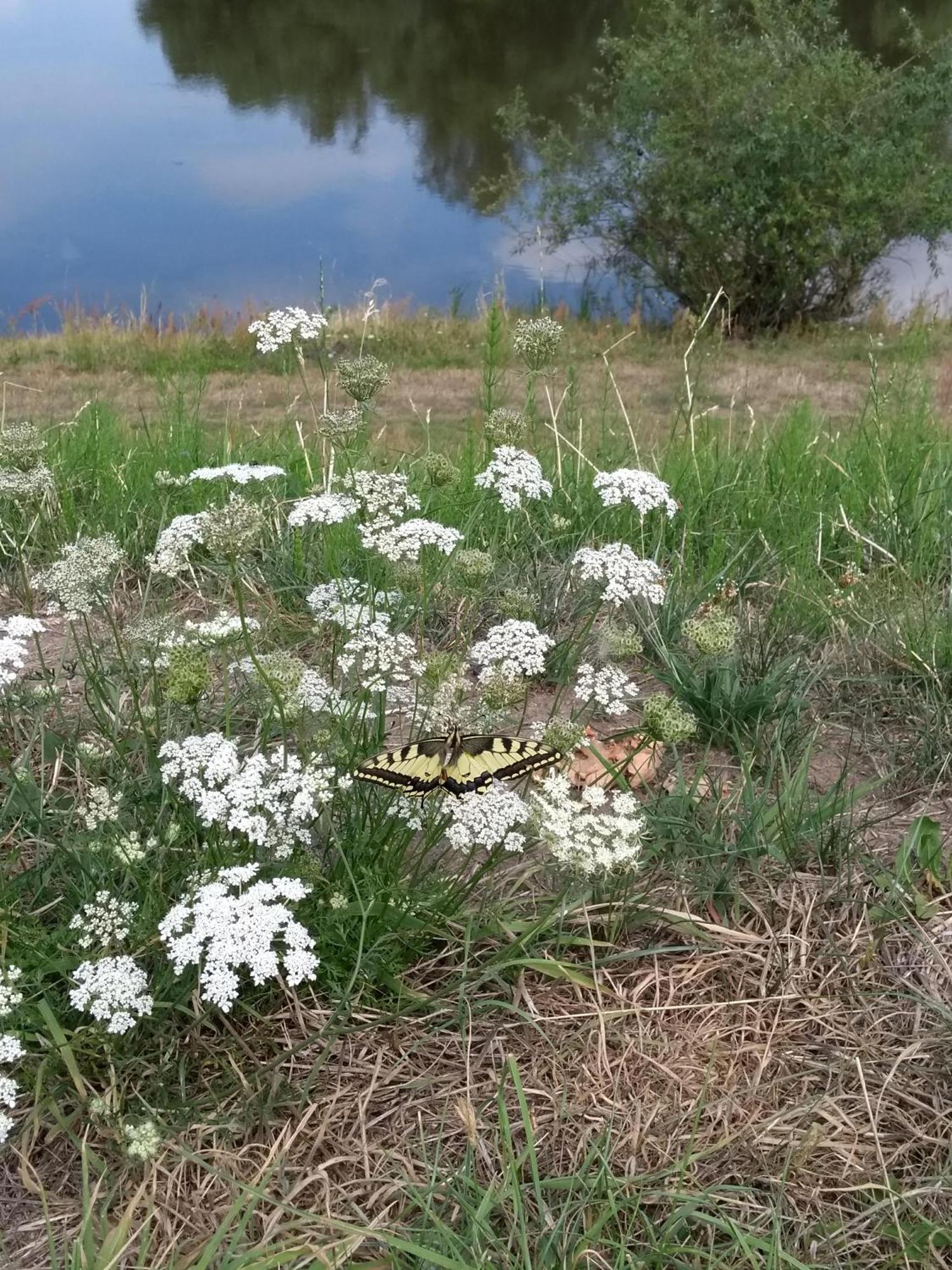 Kroetenhof Barfoerde Barforde エクステリア 写真